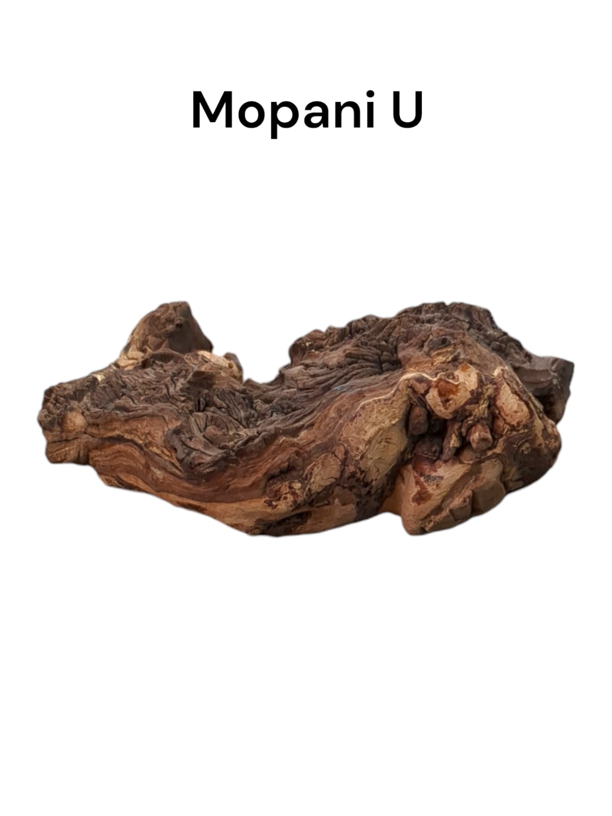 mopani u.jpg